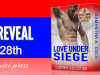 Love Under Siege Box Set
